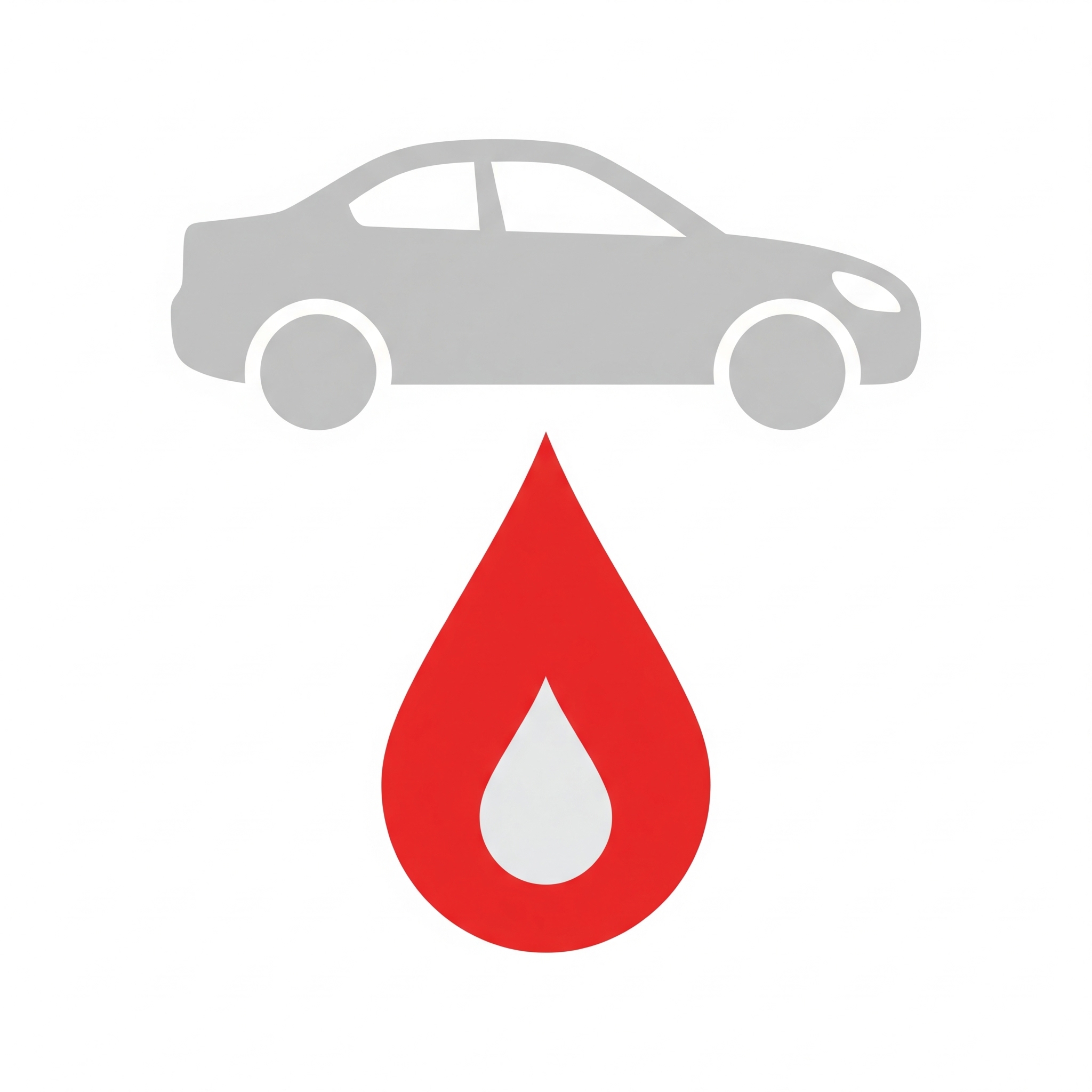 Maintenance and Warranty